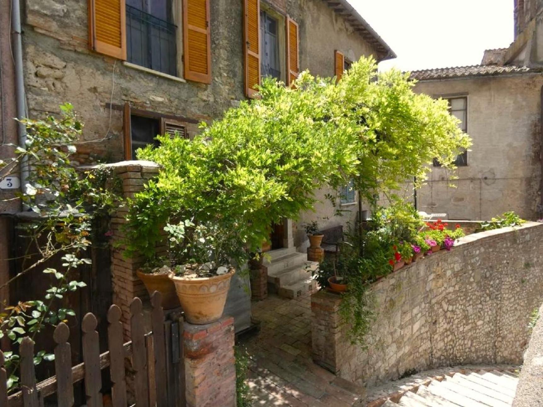 Scappo In Umbria, La Loggia Apartman Amelia Kültér fotó